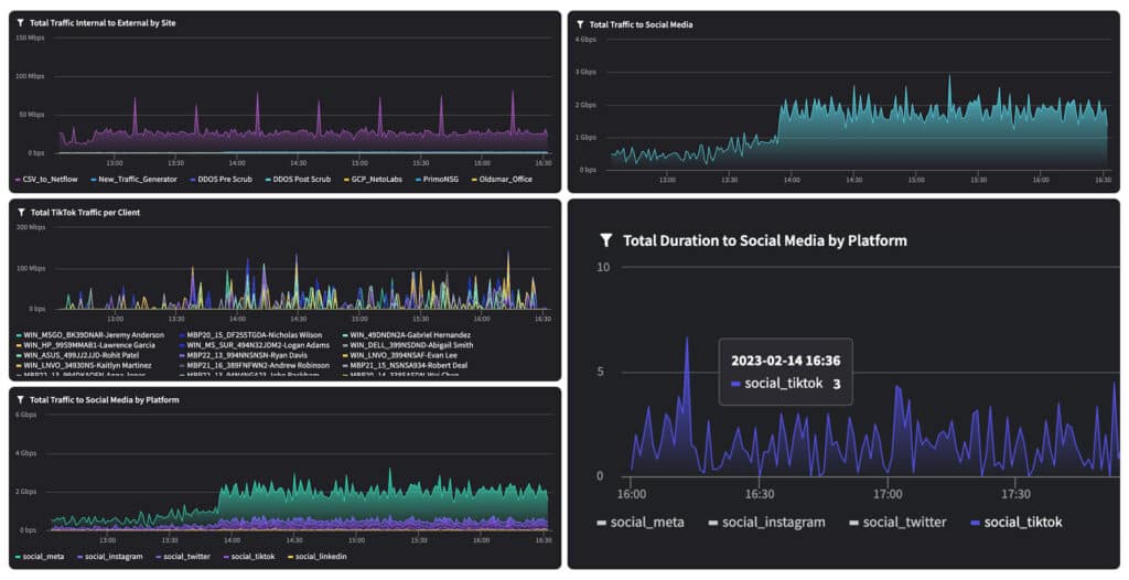 Netography Fusion®’s operational governance dashboards provide analysts with real-time views of all social media traffic.